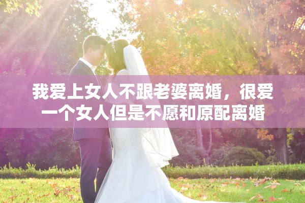 我爱上女人不跟老婆离婚，很爱一个女人但是不愿和原配离婚