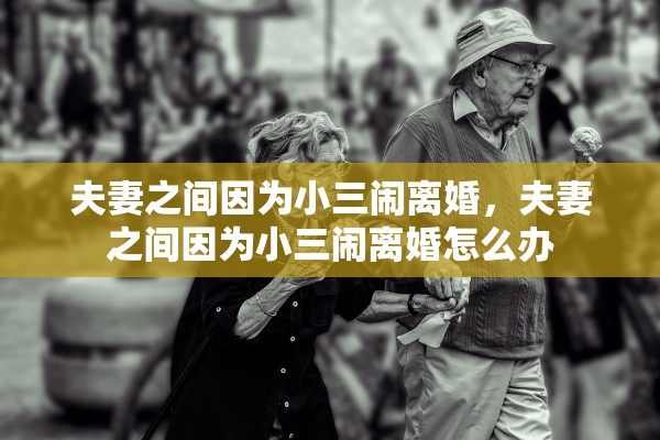 夫妻之间因为小三闹离婚，夫妻之间因为小三闹离婚怎么办