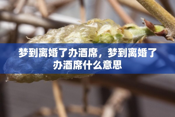 梦到离婚了办酒席，梦到离婚了办酒席什么意思