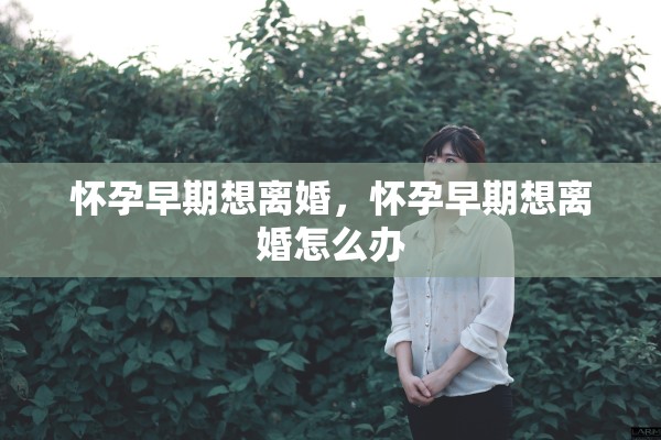 怀孕早期想离婚，怀孕早期想离婚怎么办