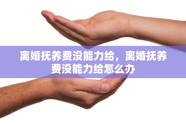 离婚抚养费没能力给，离婚抚养费没能力给怎么办
