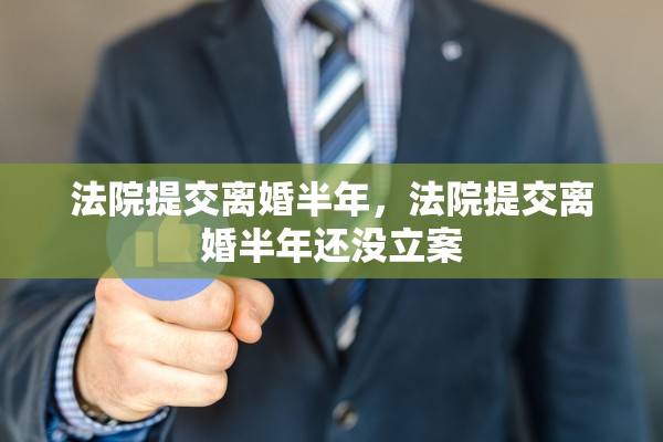 法院提交离婚半年，法院提交离婚半年还没立案