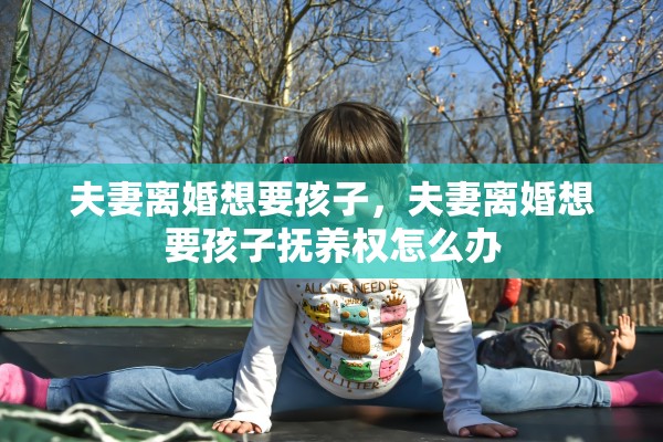 夫妻离婚想要孩子，夫妻离婚想要孩子抚养权怎么办
