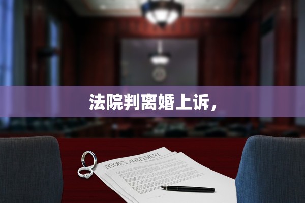 法院判离婚上诉，