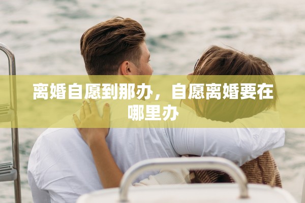离婚自愿到那办，自愿离婚要在哪里办