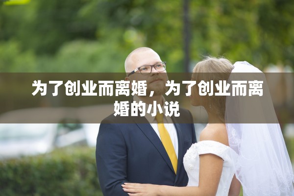 为了创业而离婚，为了创业而离婚的小说