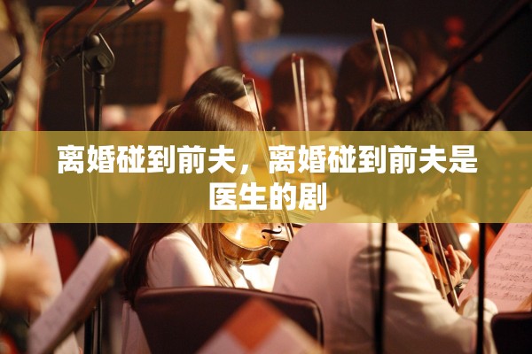 离婚碰到前夫，离婚碰到前夫是医生的剧