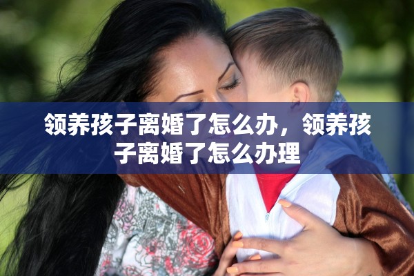 领养孩子离婚了怎么办，领养孩子离婚了怎么办理