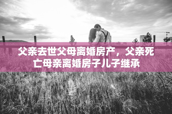父亲去世父母离婚房产，父亲死亡母亲离婚房子儿子继承