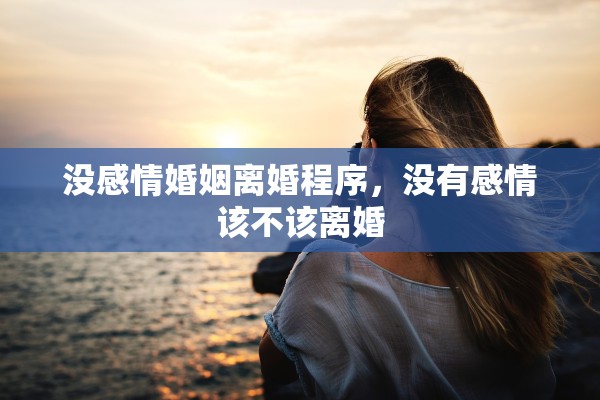 没感情婚姻离婚程序，没有感情该不该离婚
