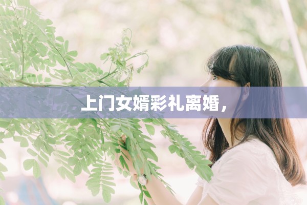 上门女婿彩礼离婚，