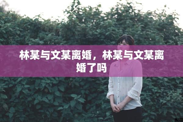林某与文某离婚，林某与文某离婚了吗