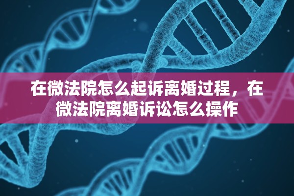 在微法院怎么起诉离婚过程，在微法院离婚诉讼怎么操作