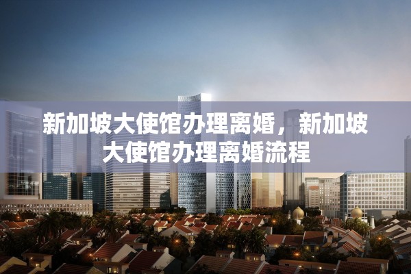 新加坡大使馆办理离婚，新加坡大使馆办理离婚流程