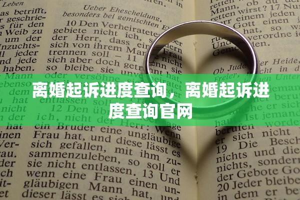 离婚起诉进度查询，离婚起诉进度查询官网