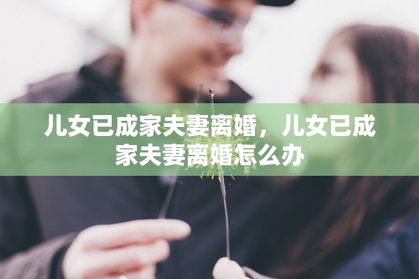 儿女已成家夫妻离婚，儿女已成家夫妻离婚怎么办