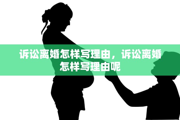 诉讼离婚怎样写理由，诉讼离婚怎样写理由呢