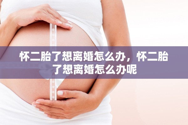 怀二胎了想离婚怎么办，怀二胎了想离婚怎么办呢