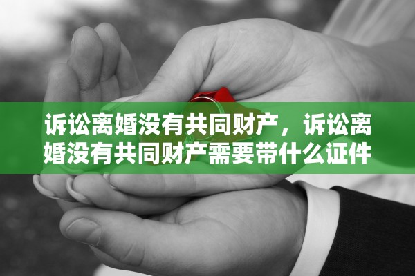 诉讼离婚没有共同财产，诉讼离婚没有共同财产需要带什么证件和什么手续