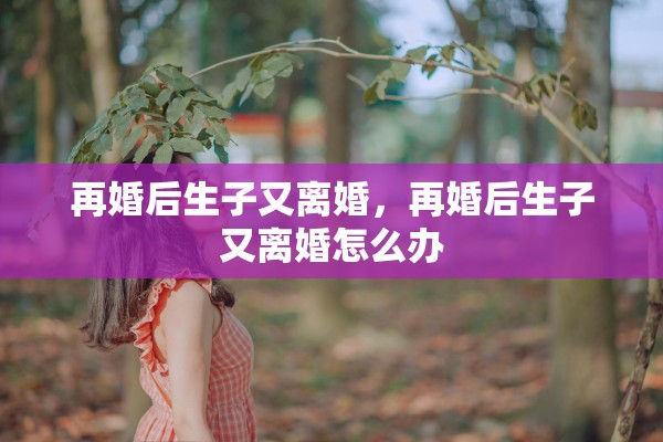 再婚后生子又离婚，再婚后生子又离婚怎么办