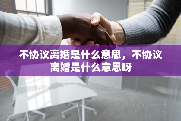 不协议离婚是什么意思，不协议离婚是什么意思呀