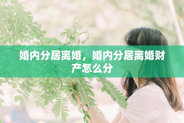 婚内分居离婚，婚内分居离婚财产怎么分