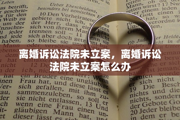 离婚诉讼法院未立案，离婚诉讼法院未立案怎么办