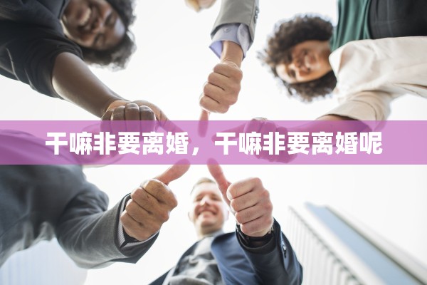 干嘛非要离婚，干嘛非要离婚呢