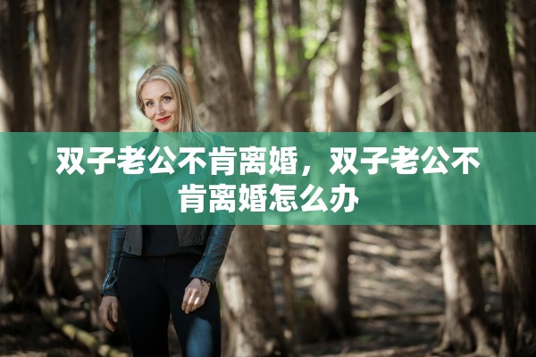 双子老公不肯离婚，双子老公不肯离婚怎么办