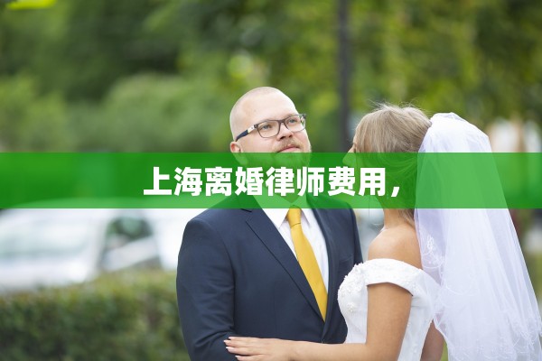 上海离婚律师费用，