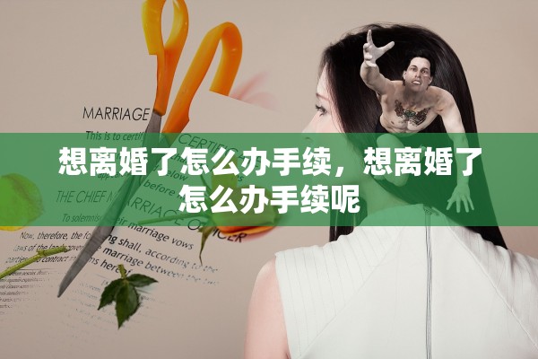 想离婚了怎么办手续，想离婚了怎么办手续呢