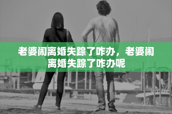 老婆闹离婚失踪了咋办，老婆闹离婚失踪了咋办呢
