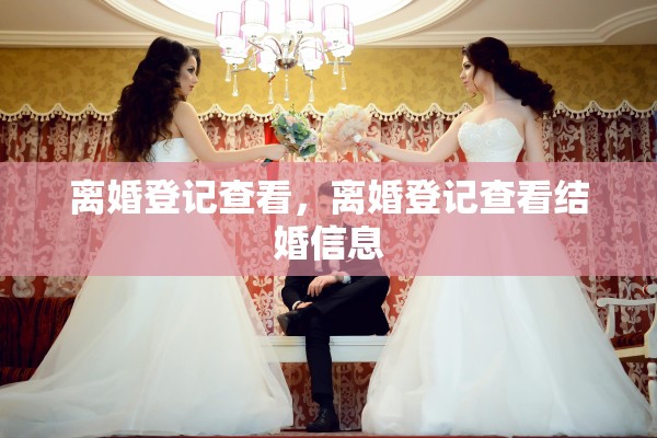 离婚登记查看，离婚登记查看结婚信息
