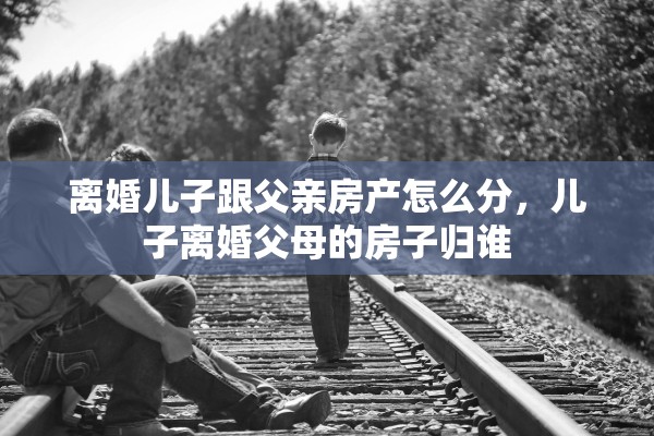 离婚儿子跟父亲房产怎么分，儿子离婚父母的房子归谁