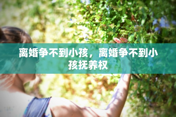 离婚争不到小孩，离婚争不到小孩抚养权