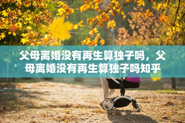 父母离婚没有再生算独子吗，父母离婚没有再生算独子吗知乎