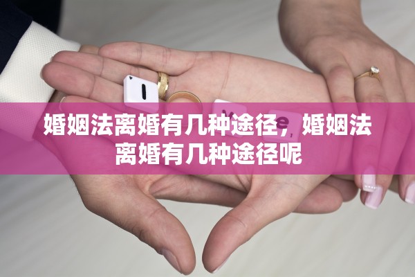 婚姻法离婚有几种途径，婚姻法离婚有几种途径呢