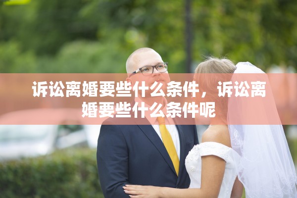 诉讼离婚要些什么条件，诉讼离婚要些什么条件呢