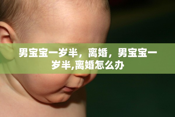 男宝宝一岁半，离婚，男宝宝一岁半,离婚怎么办