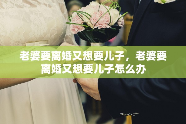 老婆要离婚又想要儿子，老婆要离婚又想要儿子怎么办