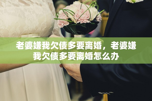 老婆嫌我欠债多要离婚，老婆嫌我欠债多要离婚怎么办