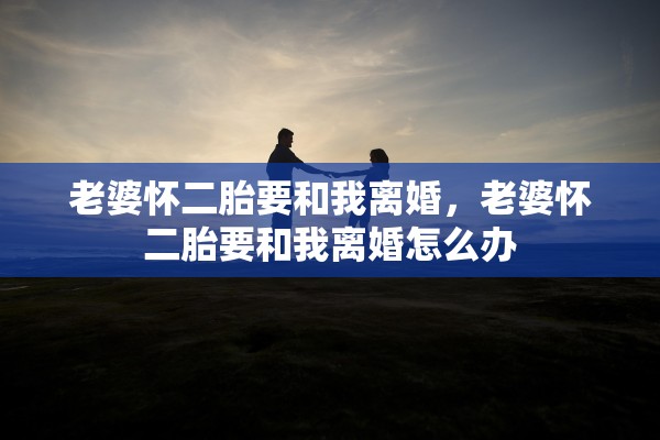 老婆怀二胎要和我离婚，老婆怀二胎要和我离婚怎么办