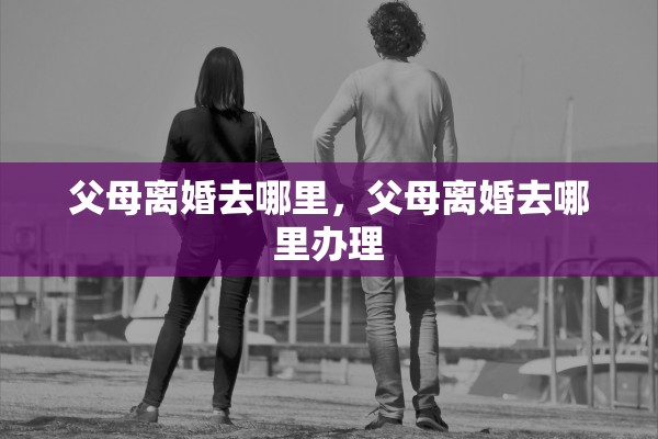 父母离婚去哪里，父母离婚去哪里办理