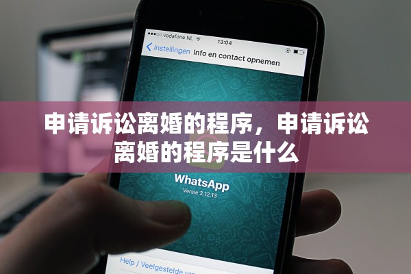 申请诉讼离婚的程序，申请诉讼离婚的程序是什么
