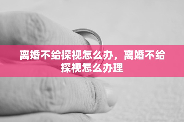 离婚不给探视怎么办，离婚不给探视怎么办理