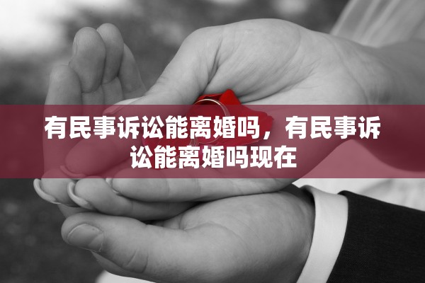 有民事诉讼能离婚吗，有民事诉讼能离婚吗现在