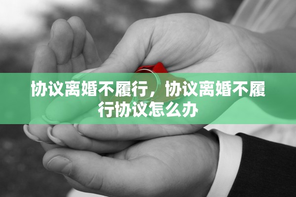 协议离婚不履行，协议离婚不履行协议怎么办