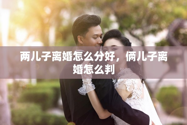 两儿子离婚怎么分好，俩儿子离婚怎么判