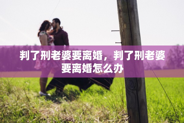 判了刑老婆要离婚，判了刑老婆要离婚怎么办