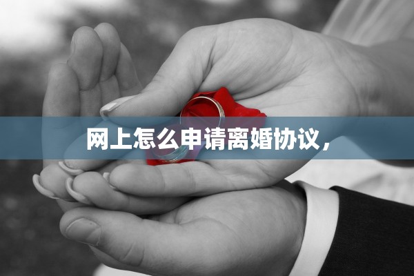 网上怎么申请离婚协议，